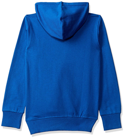 FAZZA Boys Blue Sweatshirts
